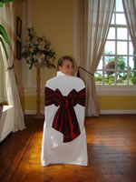 Taffeta Wedding Sashes